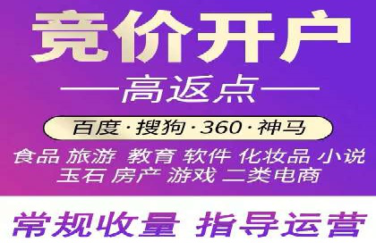 百度竞价赚钱的实战案例分析