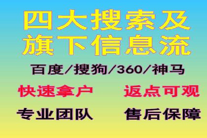 SEM搜索引擎优化：成功案例解析