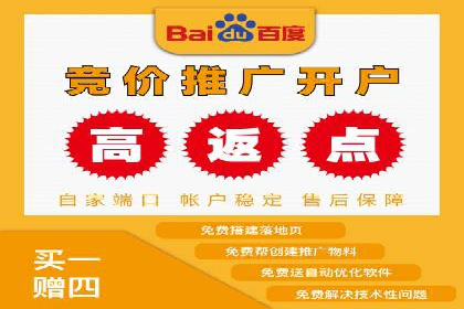 成功SEM推广代运营案例分享